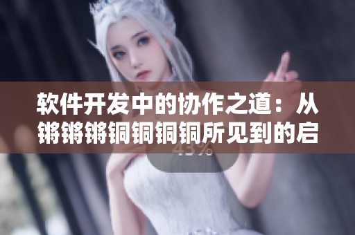 軟件開(kāi)發(fā)中的協(xié)作之道：從鏘鏘鏘銅銅銅銅所見(jiàn)到的啟示