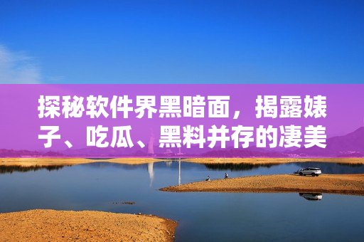 探秘軟件界黑暗面，揭露婊子、吃瓜、黑料并存的凄美景象