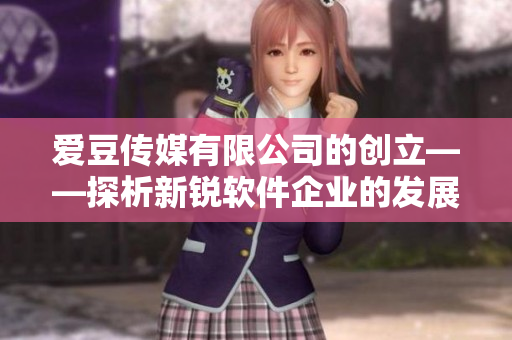 愛豆傳媒有限公司的創(chuàng)立——探析新銳軟件企業(yè)的發(fā)展歷程