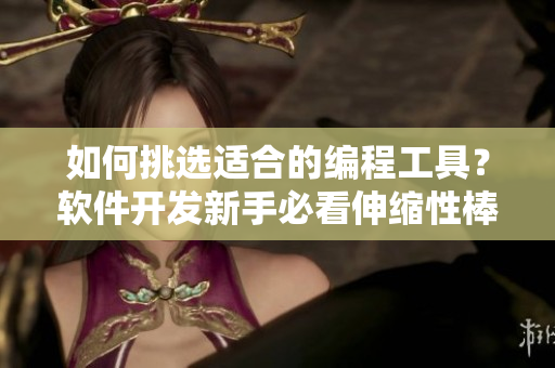 如何挑選適合的編程工具？軟件開發(fā)新手必看伸縮性棒指南