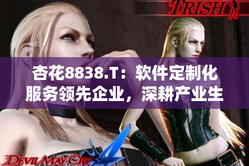 杏花8838.T：軟件定制化服務(wù)領(lǐng)先企業(yè)，深耕產(chǎn)業(yè)生態(tài)系統(tǒng)！