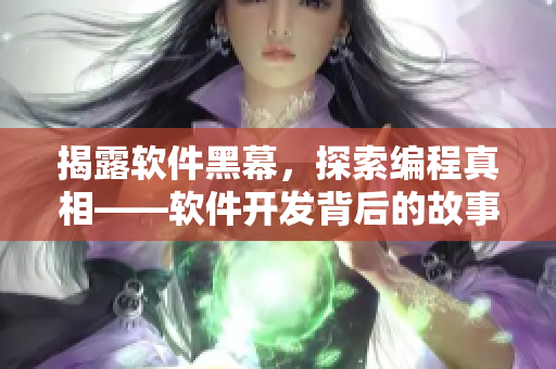 揭露軟件黑幕，探索編程真相——軟件開發(fā)背后的故事”