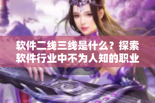 軟件二線三線是什么？探索軟件行業(yè)中不為人知的職業(yè)發(fā)展路徑