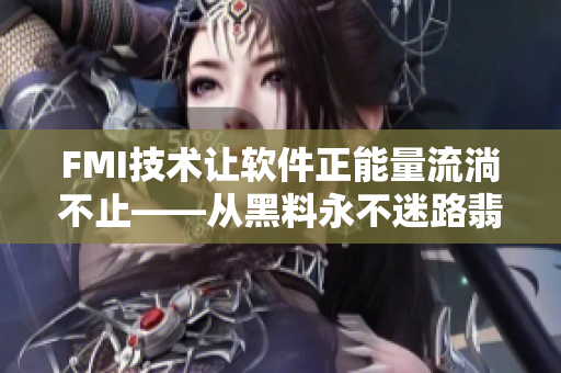 FMI技術讓軟件正能量流淌不止——從黑料永不迷路翡翠手鐲的啟示