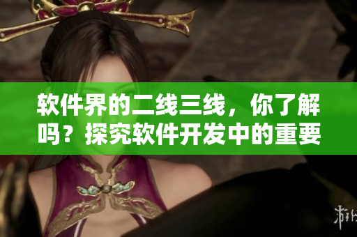 軟件界的二線三線，你了解嗎？探究軟件開發(fā)中的重要性