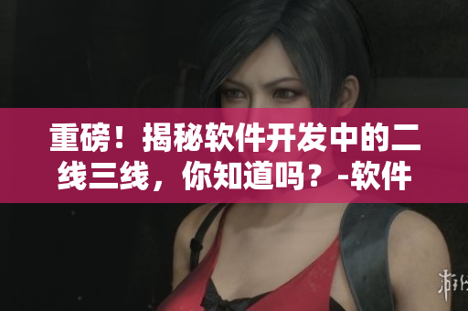 重磅！揭秘軟件開發(fā)中的二線三線，你知道嗎？-軟件開發(fā)之旅
