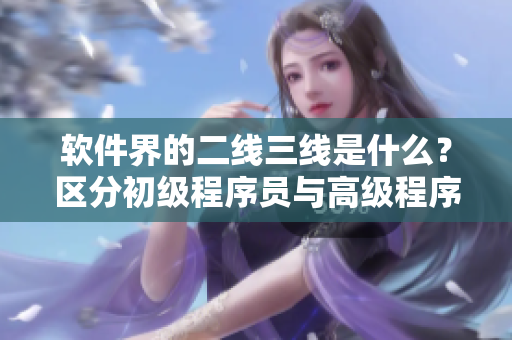 軟件界的二線三線是什么？區(qū)分初級程序員與高級程序員的技能層級！