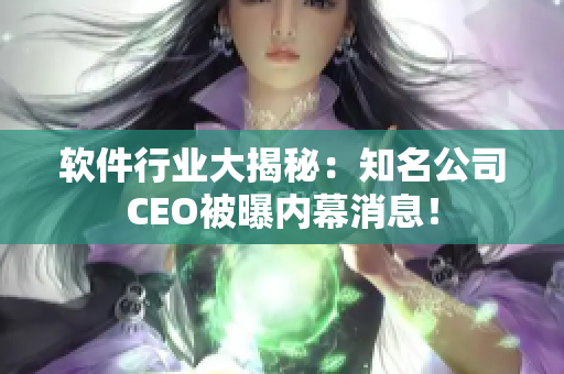 軟件行業(yè)大揭秘：知名公司CEO被曝內(nèi)幕消息！