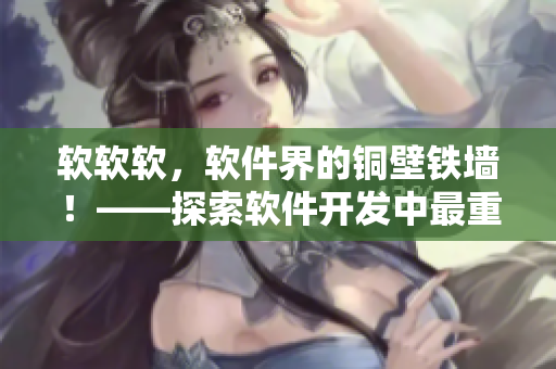 軟軟軟，軟件界的銅壁鐵墻！——探索軟件開發(fā)中最重要的穩(wěn)定性問題